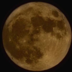 Meet your Posher, Devin